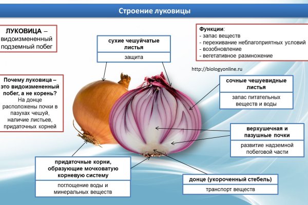 Кракен даркнет зайти